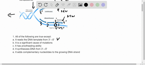1-all-of-the-following-are-true-of-dna-polymerase-except-select-one-a-it-reads-the-dna-template-from-35-b-it-is-a-significant-cause-of-mutations-c-it-has-proofreading-ability-d-it-synthesize-15394