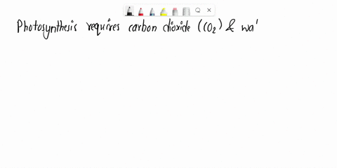 32-1-point-question-photosynthesis-are-the-reactants-co2-and-h2o-glucose-and-pyruvate-c6h1206-h2o-and-02-and-c6h1206-glucose-sunlight-55851