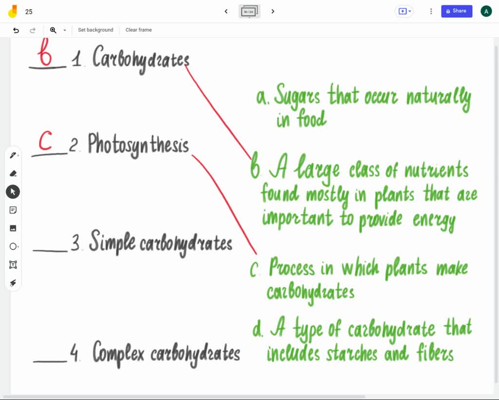 SOLVED Match the terms with their definitions. Carbohydrates