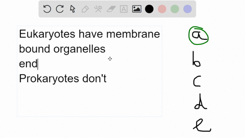 which-of-the-following-molecules-or-structures-may-be-found-in-eukaryotic-cells-but-not-in-bacteria-select-one-a-endoplasmic-reticulum-b-dna-c-flagella-d-plasma-membrane-e-ribosomes-52268