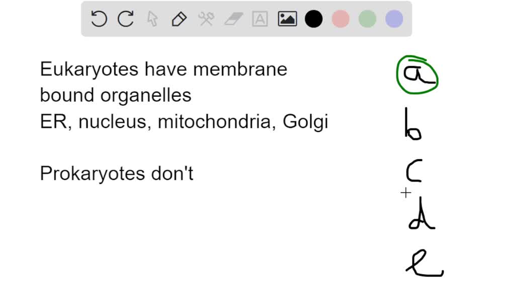 SOLVED: Which of the following molecules or structures may be found in ...