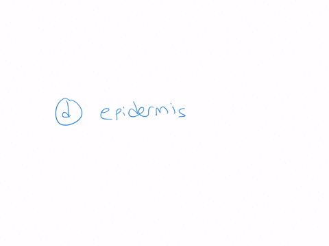 14-which-of-the-following-structures-is-responsible-for-regulating-body-temperature-hunger-thirst-and-hormone-production-a-cerebellum-b-cerebral-cortex-c-thalamus-d-hypothalamus-e-none-of-the-above-15