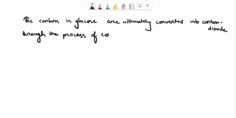 29-1point-carbon-molecules-form-the-backbone-of-glucose-glucose-is-broken-down-entirely-through-the-processes-involved-in-cellular-respirationwhere-does-the-carbon-go-the-carbons-are-bound-t-27089