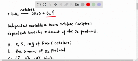 you-are-studying-enzymes-in-biology-class-hydrogen-peroxide-h2o2-is-produced-as-a-byproduct-of-respiration-hydrogen-peroxide-is-harmful-to-cells-and-must-be-continually-broken-down-catalase-90072