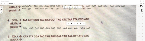 mrna-protein-tac-ctt-ggg-gaa-tat-aca-cgc-tgg-ctt-cga-tga-atc-cgt-acg-gta-ctc-gcc-atc-dna-mrna-proxein-dna-taa-act-cgg-tac-cta-gct-tag-atc-taa-tta-ccc-atc-irna-protein-dna-irna-protein-cta-tt-44573