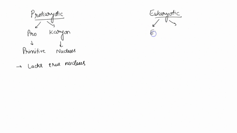 a-prominent-difference-between-prokaryotic-and-eukaryotic-cells-is-the-a-larger-size-of-prokaryotes-b-lack-of-pigmentation-in-eukaryotes-c-presence-of-a-nucleus-in-eukaryotes-d-presence-of-a-53114