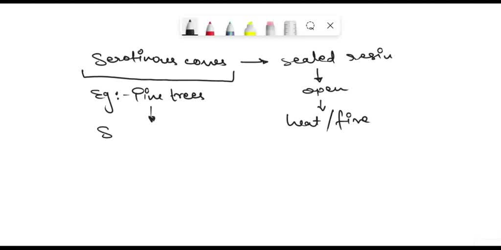 SOLVED: What are serotinous cones and what kind of trees have them ...