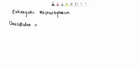 list-the-types-of-eukaryotic-microorganisms-and-identify-which-are-unicellular-and-which-are-multicellular-90947