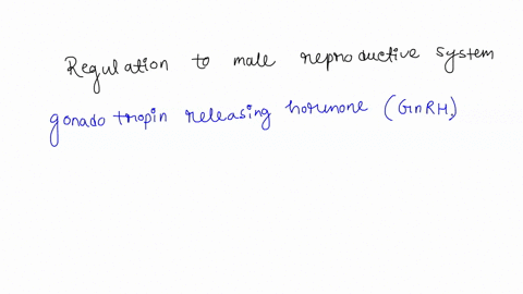 which-hypothalamic-hormone-contributes-to-the-regulation-of-the-male-reproductive-system-a-luteinizi-95871