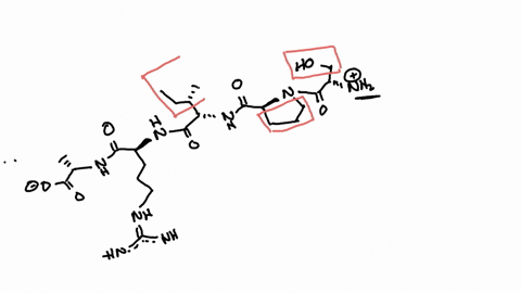 v-give-the-amino-acid-sequence-in-the-template-strand-of-the-gene-that-codes-for-the-following-peptide
