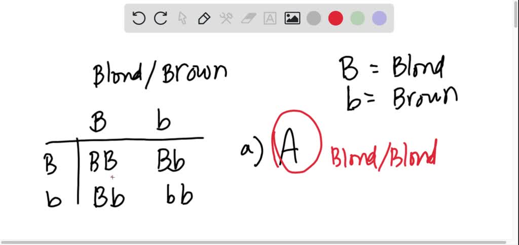 SOLVED: Each Of Two Parents Has The Genotype Blond Brown; Which ...