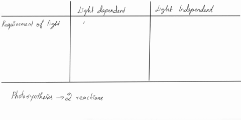 list-three-differences-between-light-dependent-and-light-independent-reactions-of-photosynthesis-48646