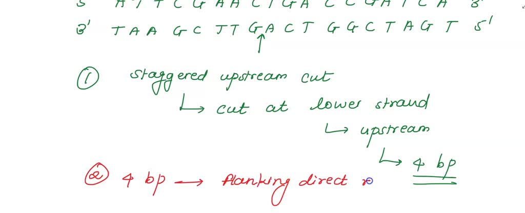 SOLVED: A particular transposable element generates flanking direct ...