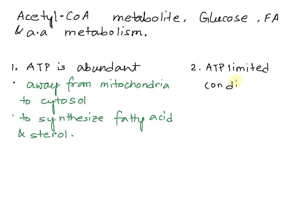 SOLVED: 11. The fate of acetyl CoA differs according to how much ATP is ...