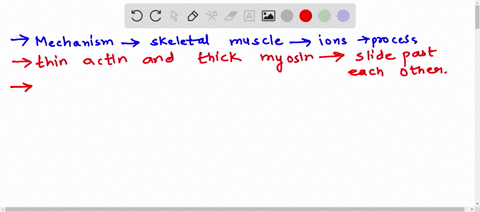 explain-briefly-the-mechanism-of-skeletal-muscle-contraction-with-an-emphasis-on-the-role-of-ions-on-such-a-process-06282