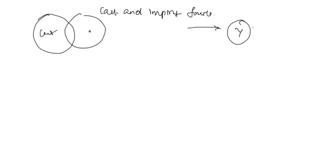 SOLVED: 'Kelli drew a diagram to compare the cast and imprint fossils ...