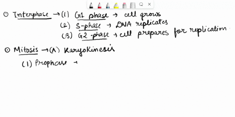 briefly-identify-the-stages-in-the-eukaryotic-cell-cycle-and-describe-their-principal-events-93613