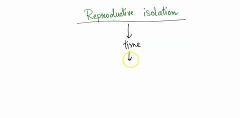 which-of-the-following-would-be-an-example-of-temporal-isolation-reproductive-isolation-by-mountains-reproductive-isolation-by-flower-shape-reproductive-isolation-by-different-breeding-times-79957