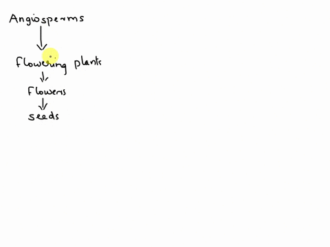 what-is-the-main-characteristic-of-angiosperm-seeds-a-they-are-cones-b-they-have-wings-c-they-are-inside-fruit-d-they-have-food-79434
