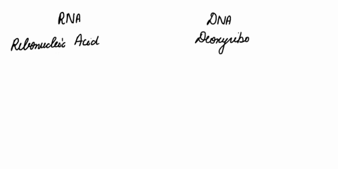 how-are-the-sugars-and-nitrogenous-bases-in-dna-and-rna-different-what-template-molecule-do-we-need-to-make-mrna-where-in-the-cell-does-transcription-take-place-what-enzyme-catalyzes-transcription-wha