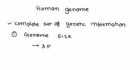 describe-the-human-genome-in-terms-of-genome-size-the-percentage-of-the-genome-that-codes-for-prot-3-71653