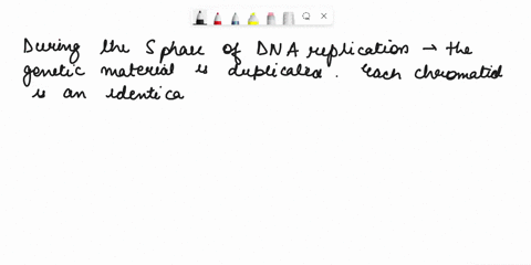 of-two-chromalids-joined-at-the-centromere-select-the-stages-the-cell-cycle-during-which-each-chromosome-consists-io-melaphase-prophase-laie-anphase-rueltec-lala-interphase-0e-tolophasa-cyok-45928