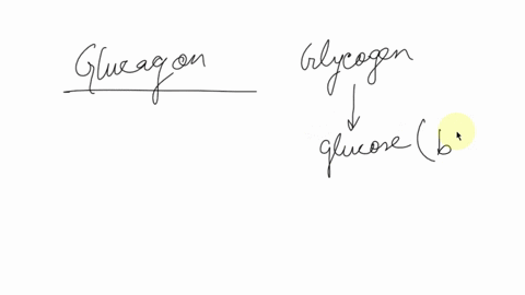 what-type-of-signaling-is-used-for-insulin-and-why-paracrine-endocrine-autocrine-or-direct-72619