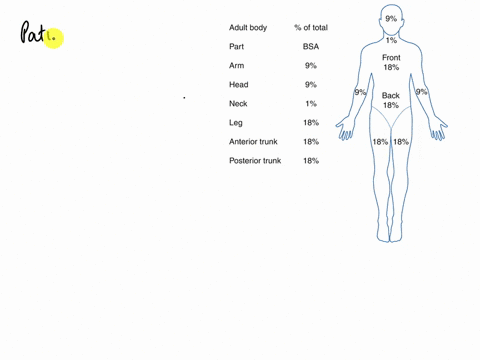 using-the-rule-of-nines-please-calculate-the-percentage-of-body-that-was-burned-a-patient-comes-in-with-2nd-degree-burns-on-their-right-anterior-arm-anterior-left-forearm-entire-anterior-tru-57268