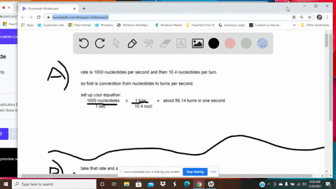 e-coli-dna-polymerase-iii-replicates-dna-at-a-high-catalytic-rate-and-fidelity-the-catalytic-rate-of-dna-polymerase-iii-is-1000-nucleotides-per-second-in-bdna-there-are-104-nucleotides-per-turn-how-fa
