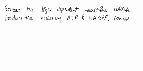 the-reactions-of-the-calvin-cycle-are-not-directly-dependent-on-light-and-yet-they-usually-do-not-oc-82228