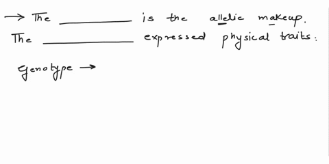 help-please-the-is-the-allelic-makeup-of-an-individual-the-traits-of-an-individual-is-the-expressed-physical-genotypephenotype-phenotypegenotype-recessivedominant-o-dominant-recessive-59551