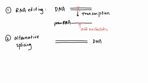 rna-editing-alternative-splicing-and-trans-splicing-complicate-the-concept-of-colinearity-match-each-process-to-the-statement-describing-how-it-complicates-colinearity-this-process-joins-exo-77945
