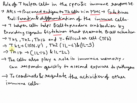 role-of-t-helper-cells-in-the-specific-immune-response-77559
