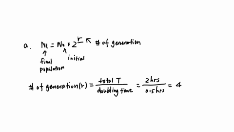 a-during-the-exponential-phase-of-bacterial-growth-the-lab-strain-of-e-coli-has-doubling-time-of-about-30-minutes-if-you-start-with-10000-cells-per-ml-of-culture-and-let-them-grow-exponentia-49481