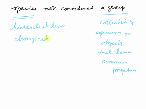 why-is-the-classification-species-not-considered-a-group-73453