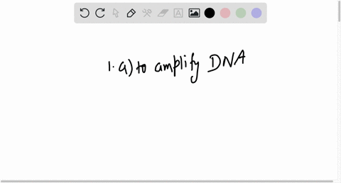 1-what-is-the-purpose-for-which-pcr-is-used-a-to-amplify-dna-b-to-isolate-dna-c-to-study-the-function-of-dna-d-to-observe-the-expression-of-dna-a-to-amplify-dna-b-to-study-the-function-of-dn-75484