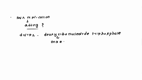 question-14-2-points-14-dna-replication-occurs-by-adding-ntps-to-the-5-end-of-the-daughter-strand-dntps-to-the-3-end-of-the-template-strand-dntps-to-the-3-end-of-the-daughter-strand-ntps-to-20922