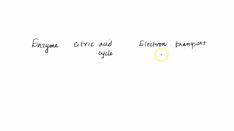 the-enzyme-involved-in-both-the-citric-acid-cycle-and-the-electron-transport-chain-is-isocitrate-synthase-succinate-dehydrogenase-fumarase-citrate-synthase-g-voxylate-synthase-95391