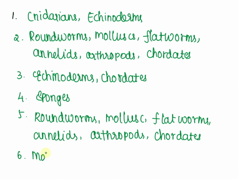 summary-of-the-animal-kingdom-6_-the-correct-numbers-in-the-spaces-provided-compare-the-animal-groups-by-placing-roundworms-mollusks-icnidarians-flatworms-sponges-echinoderms-chordates-annel-68083