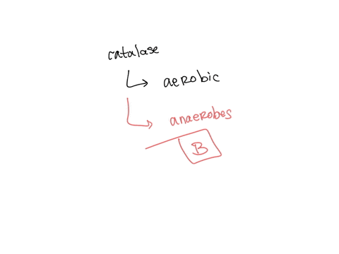 given-the-reaction-that-catalase-performs-the-microorganisms-less-likely-to-carry-this-enzyme-are-select-one-obligate-aerobes-b-obligate-anaerobes-facultative-aerobes-d-microaerophilic-facul-57485