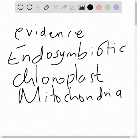 describe-three-distinct-pieces-of-evidence-that-support-the-endosymbiotic-theory-of-the-origin-of-chloroplasts-and-mitochondria-24056