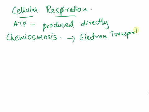 in-cellular-respiration-most-atp-is-produced-directly-as-a-result-of-____a-the-citric-acid-cycle-b-substrate-level-phosphorylation-c-facilitative-diffusion-chemiosmosis-d-glycolysis-e-proton-37768