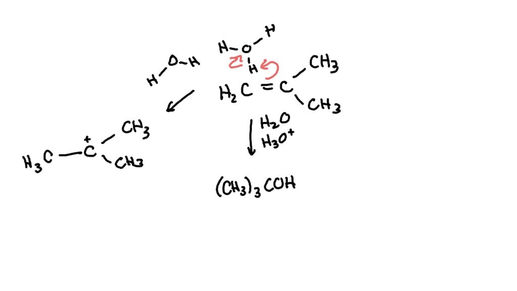 SOLVED: Identify the nucleophilic species in the following reaction. CI ...