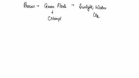 which-is-the-process-by-which-green-plants-use-sunlight-water-and-carbon-dioxide-to-make-food-o-photosynthesis-o-cellular-respiration-o-anaerobic-respiration-o-fermentation-93074