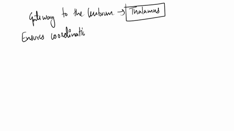 question-37-match-the-following-gateway-to-the-ccrebrum-choose-choose-ensures-coordination-and-balance-hypothalamus-thalamus-executive-suite_-epithalamus-cerebrum-cerebellum-visceral-command-69507