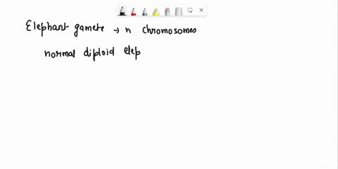 32-if-an-elephant-gamete-that-is-spe-cell-has-chromosomes-then-how-many-chromosomes-will-an-abnormal-pentaploid-clephant-skin-cell-have-33-the-genetic-disease-called-down-syndrome-has-bcen-d-31805