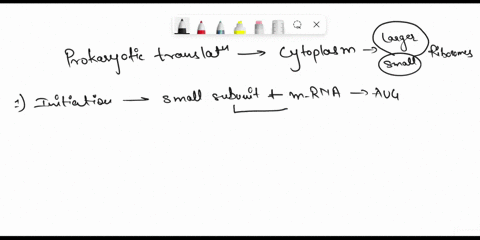question-17-3-points-describe-the-events-that-occur-during-prokaryotic-translation-of-the-genetic-code-65469