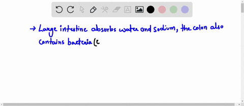 question-54-1-point-which-of-the-following-isare-true-of-the-large-intestine-its-bacteria-produce-useful-vitamin-k-and-certain-b-vitamins-kd-lt-absorbs-water-and-sodium-from-material-int-the-20246
