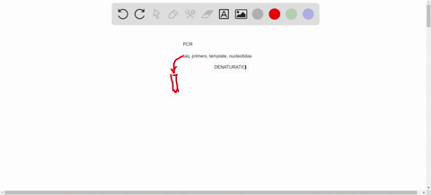 explain-the-different-steps-of-a-pcr-how-do-you-design-primers-for-cloning-name-characteristics-what-are-the-steps-you-need-to-take-to-clone-a-gene-and-express-it-in-plants-write-a-step-wise-protocol