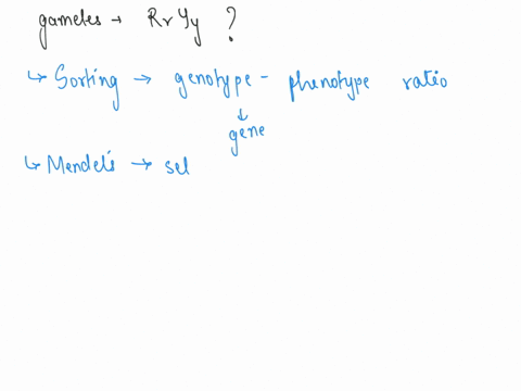 which-gametes-can-a-rryy-plant-produce-94888